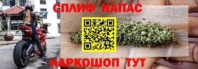 прущие грибы Гусев